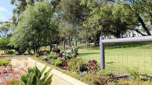 Adventures at Sue's Retreat .......