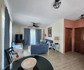 TV connectée, lecteur de DVD, livres