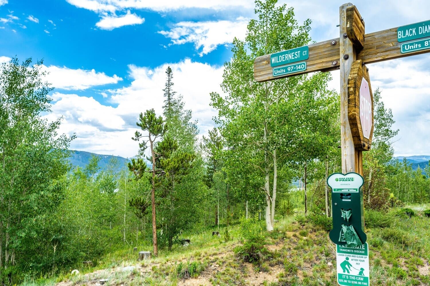A wooden signpost with directional signs for Black Diamond and Wilderness CT, and a green sign about pet waste.