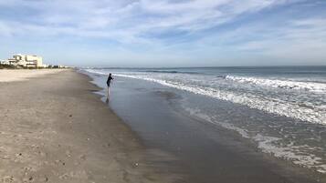 Plage à proximité, chaises longues, serviettes de plage