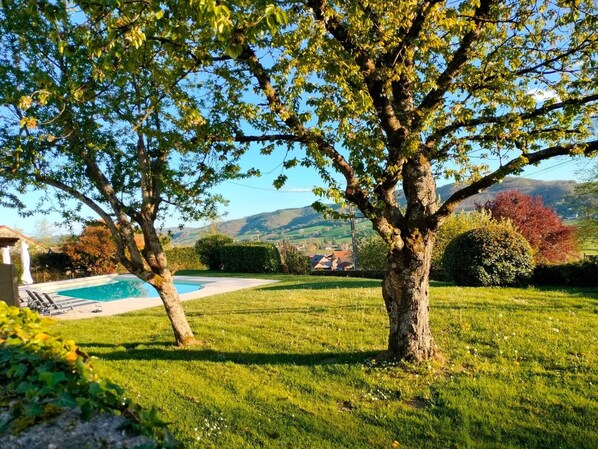 A pool area with a lawn and trees.