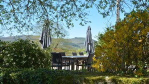 Un espacio de comedor al aire libre con mesa y sillas, rodeado de vegetación y vistas a las colinas.