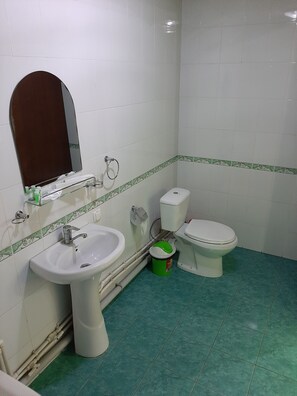 Shower, deep soaking tub, rainfall showerhead, free toiletries - Green House Hotel - Hostel (Tashkent)