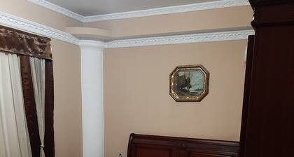 Green House Hotel - Hostel