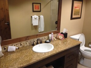 Hair dryer, towels, toilet paper