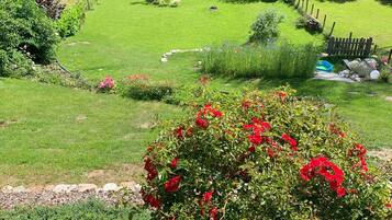 Ărea da propriedade