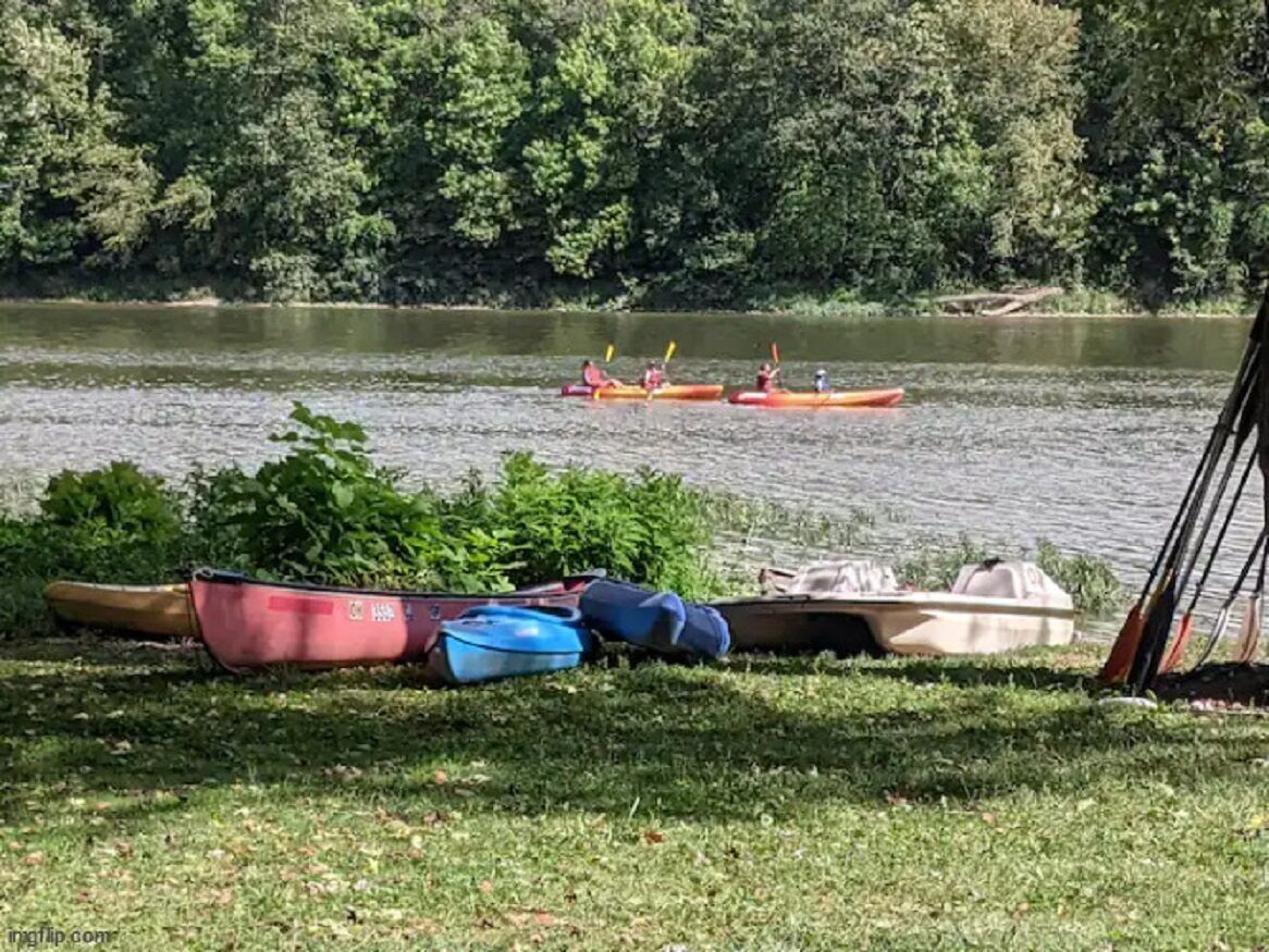Une rangée de canoës et de kayaks sur une plage herbeuse au bord du lac.
