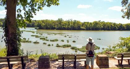 Waterfront Cabin with Hot Tub! Free Kayaks & Canoes, Fishing Boats, & Bicycles!