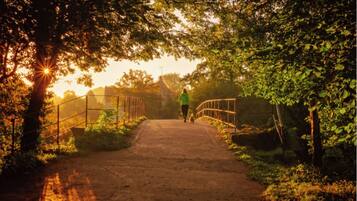 A pathway leading to a bridge in a wooded area with sunlight filtering through the trees.