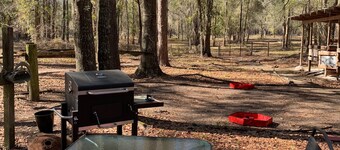 Comfy Camping At The Forge
