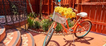 SOUTH TAMPA, HYDE PARK, BAYSHORE, UNIV OF TAMPA, RIVERWALK- 5 STARS