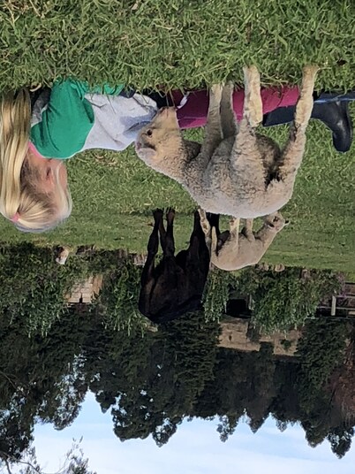 Farm fun for the family