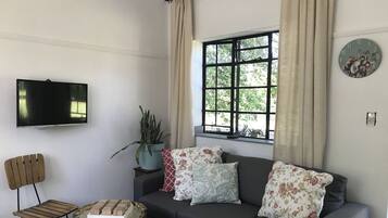 Televisor i llar de foc
