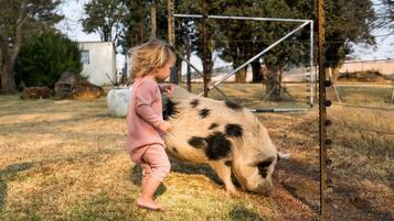 Overnattingsstedets uteområder