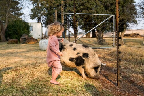 Farm fun for the family