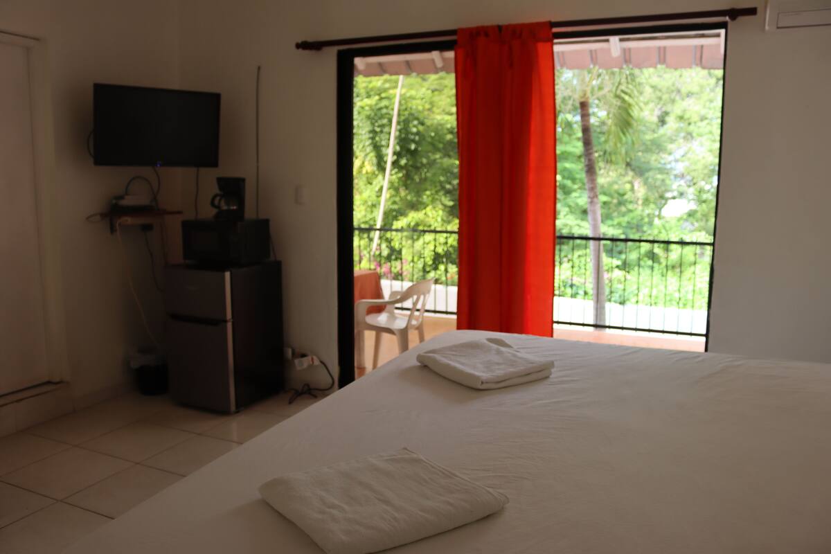 Panoramic Studio Suite, 1 King Bed, Terrace, Courtyard View | 1 bedroom, hypo-allergenic bedding, in-room safe, blackout curtains