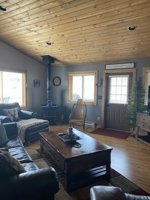 TV, fireplace, DVD player, books