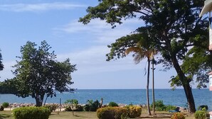 Un jardin aménagé avec vue sur la mer, comprenant une pelouse bien entretenue, des arbustes et des arbres.