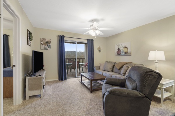 Living room with a view.