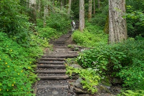 Terrain de l’hébergement