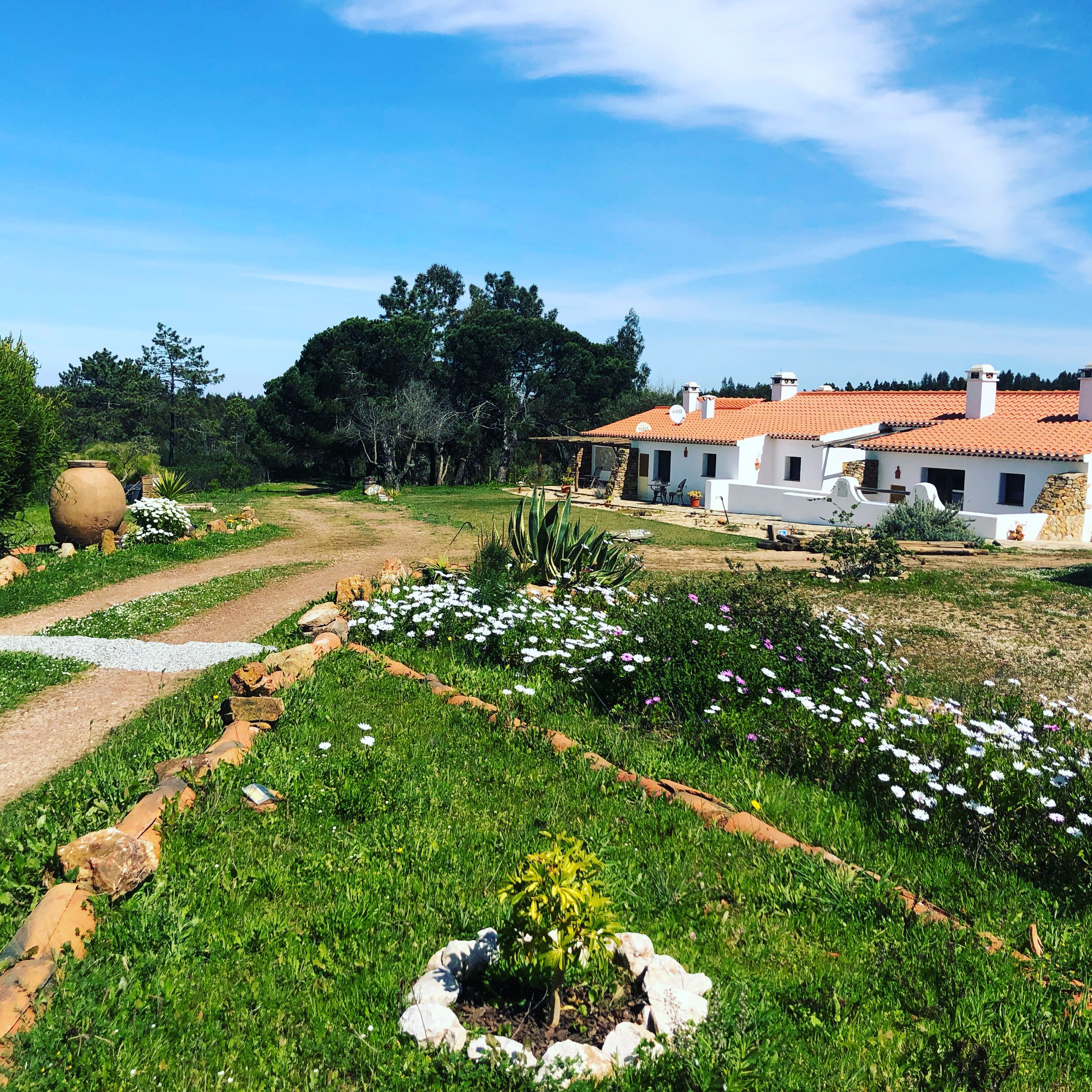 Área da propriedade