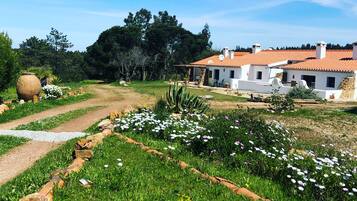 Área da propriedade