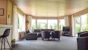 Kamin, Videospielkonsole, DVD-Player, Stereoanlage