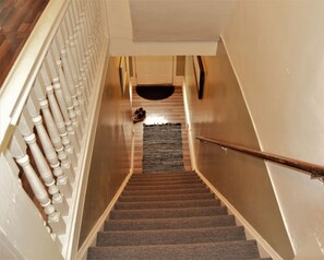 A staircase with a wooden handrail and a rug at the bottom. - The City Pads: conveniently located, with everything just a short walk away. (Grand Forks)