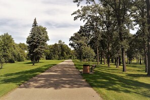 A pathway flanked by trees in a park setting.