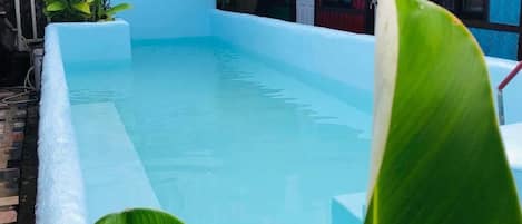 A rectangular pool with a blue interior, surrounded by a white wall and potted plants.