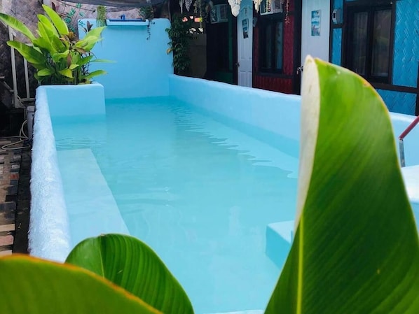 A rectangular pool with a blue interior, surrounded by a white wall and potted plants. - El Nido Hostel Sun Valley (El Nido)