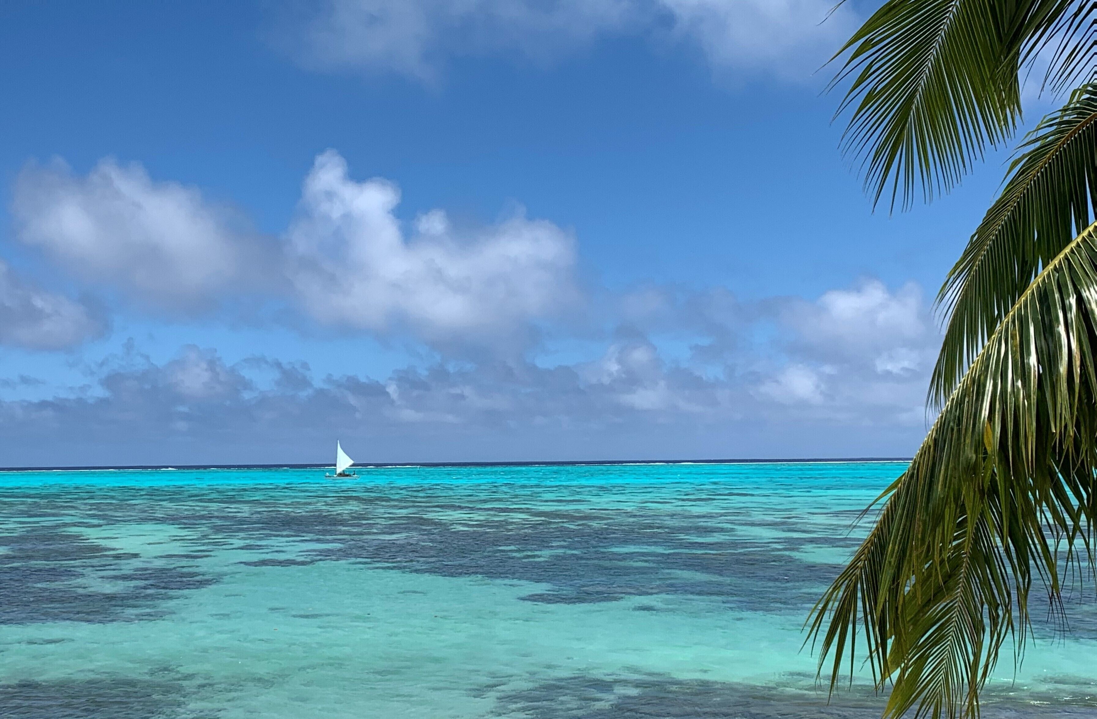 Mar turquesa transparente con un velero, una palmera y un cielo despejado.