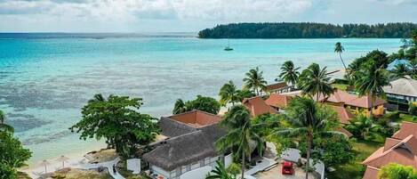 A coastal property with a beach, palm trees, and a clear view of the ocean.