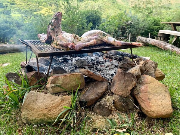 Un gros cochon entier, entier, est en train de rôtir au-dessus d’un feu de bois, avec des pierres et des bûches en dessous.