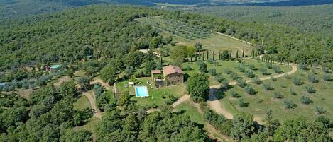 An aerial view of a rural property with a swimming pool, a house, and a vineyard.