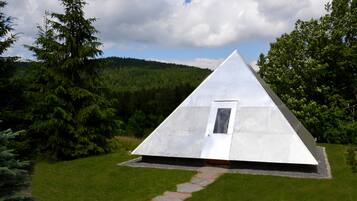 Trädgård