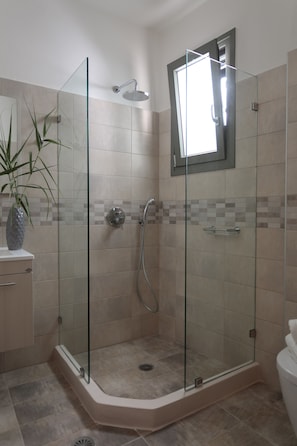 Studio | Bathroom | Shower, hydromassage showerhead, free toiletries, hair dryer