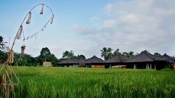 Overnattingsstedets uteområder