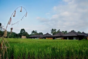 Property grounds - Private Pool Villa overlooking to Rice Field (Tegallalang)