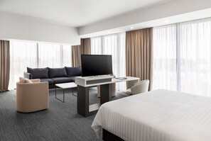 Panoramic Studio Suite