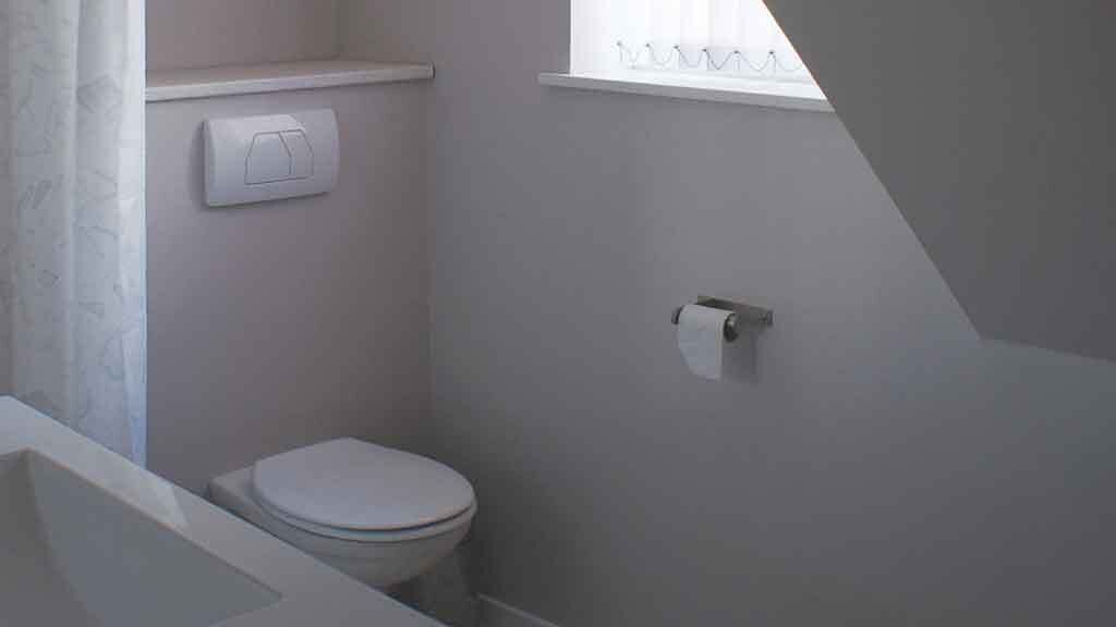 A small, compact bathroom with a toilet, a towel rack, and a window.