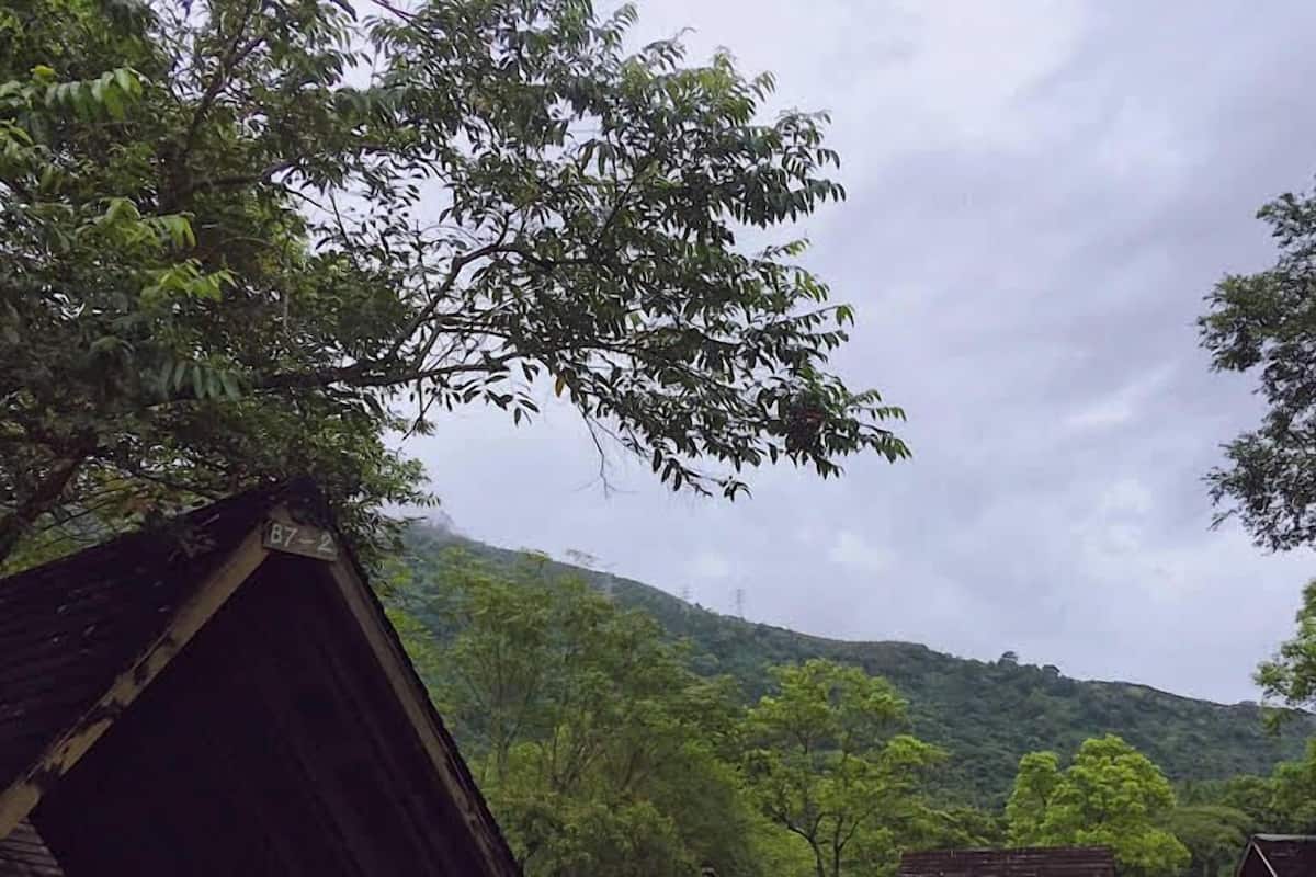 Chalet Campsite (No Tent Included) | 1 bedroom