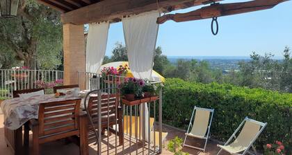 Typical Tuscan country house on the hills between Viareggio and Camaiore.