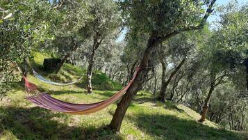 Parco della struttura