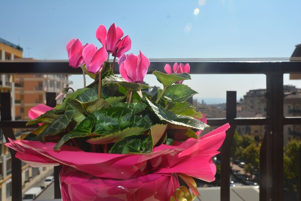 A balcony with a potted plant of pink flowers. - Art B&B (Caltanissetta)