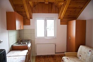 Classic Apartment (29-32) | Private kitchenette - Hotel Pavlovic (Kovacka Dolina)