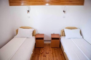 Classic Apartment (29-32) | Desk, laptop workspace, soundproofing, free WiFi - Hotel Pavlovic (Kovacka Dolina)