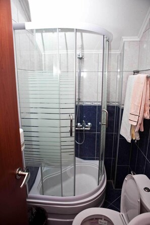 Classic Apartment (29-32) | Bathroom | Shower, hair dryer, towels, soap - Hotel Pavlovic (Kovacka Dolina)