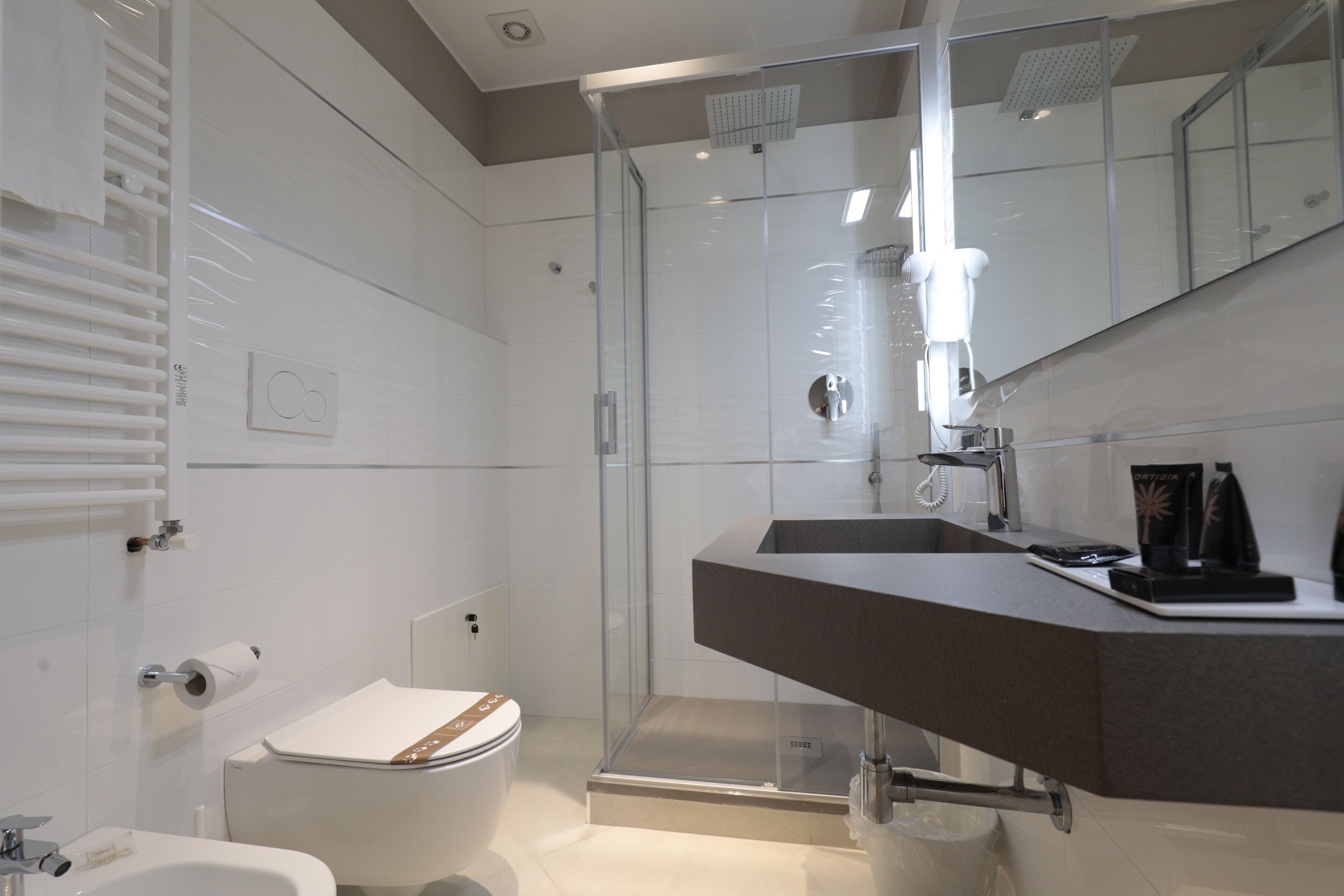 A modern bathroom with a glass shower enclosure, a large sink, and a toilet.
