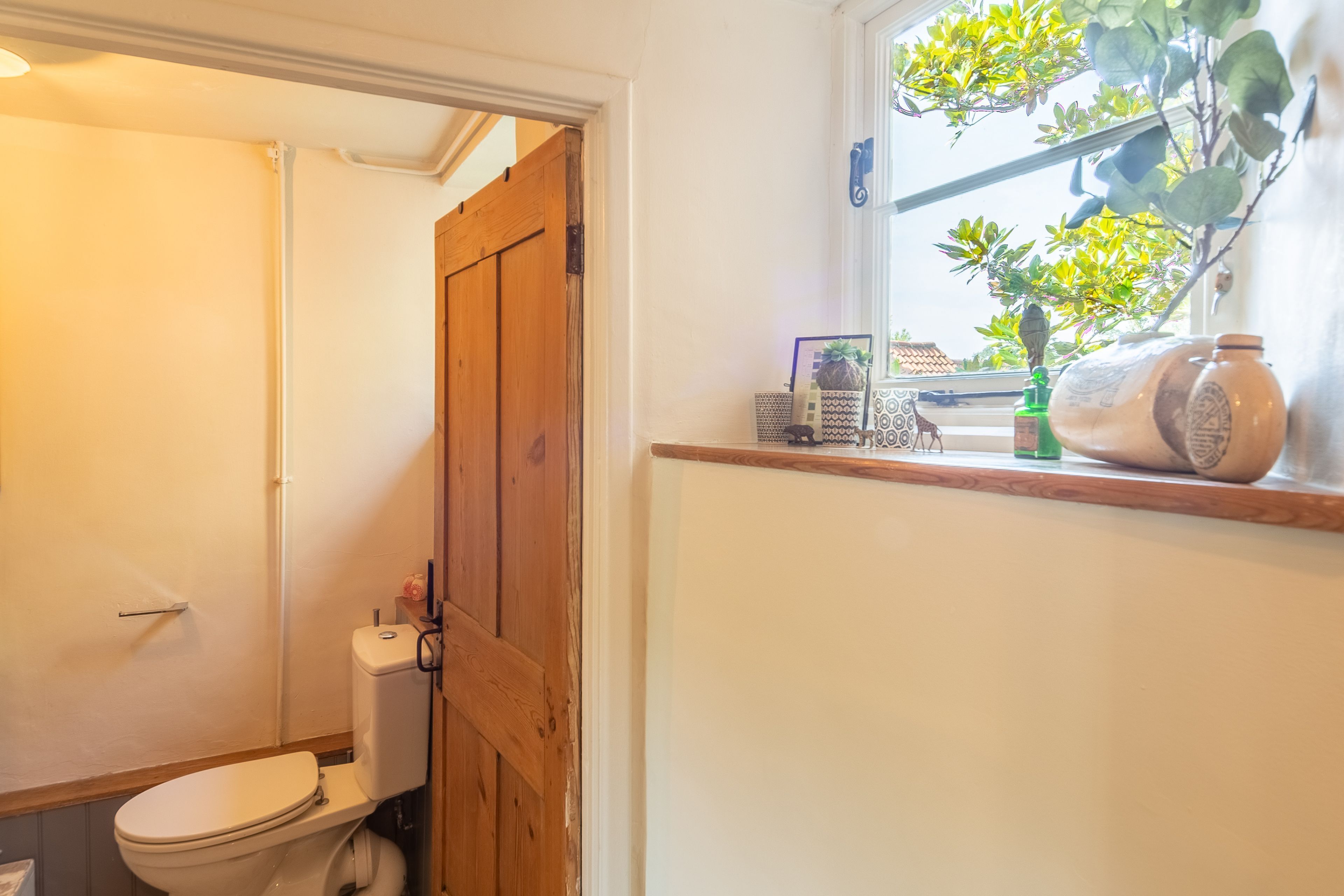 A bathroom with a wooden door, a toilet, and a window with a plant.